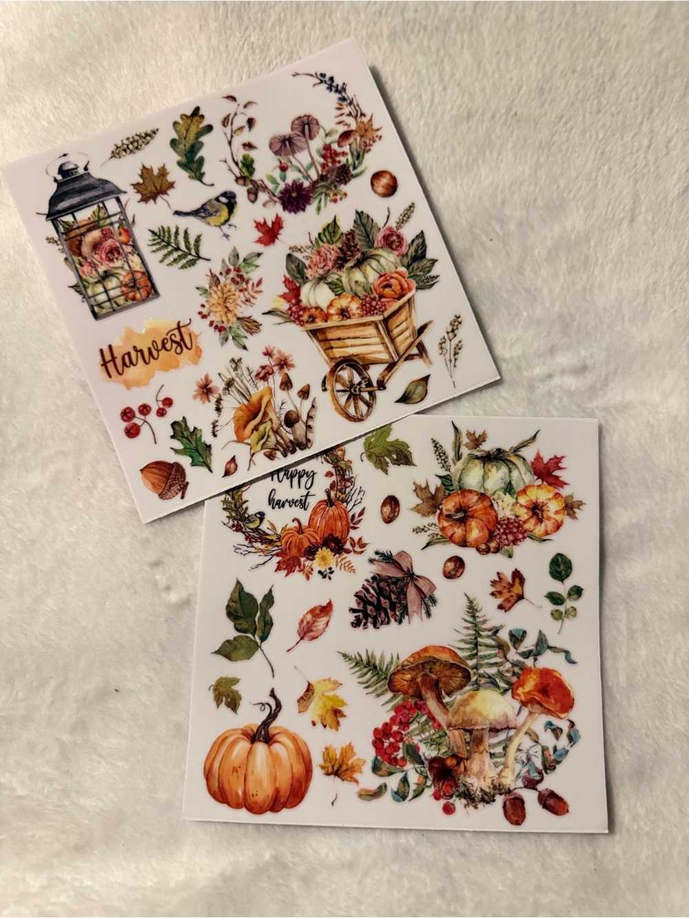 Autumn Harvest Pumpkin & Foliage Rub on Transfers